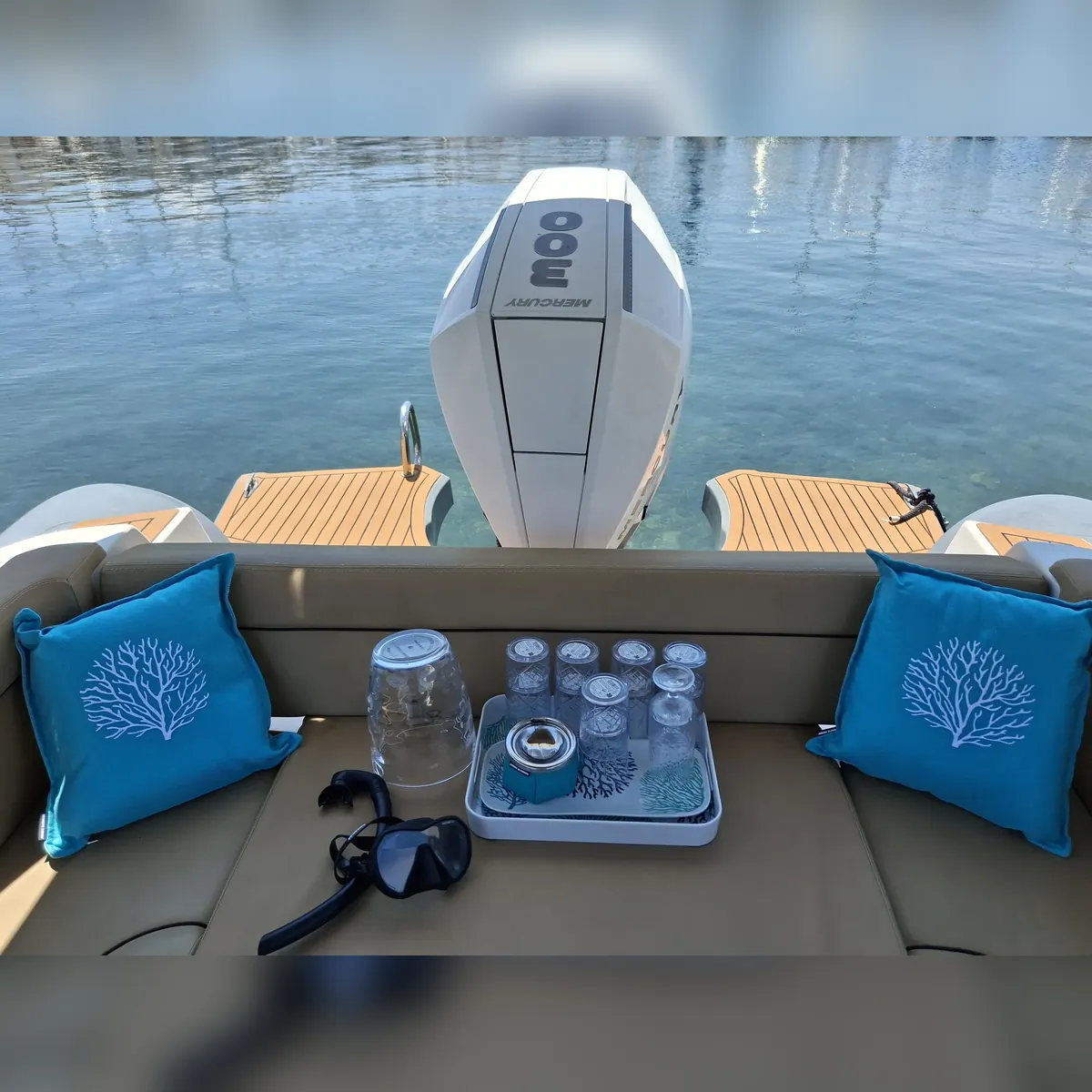 SALPA  28  Soleil