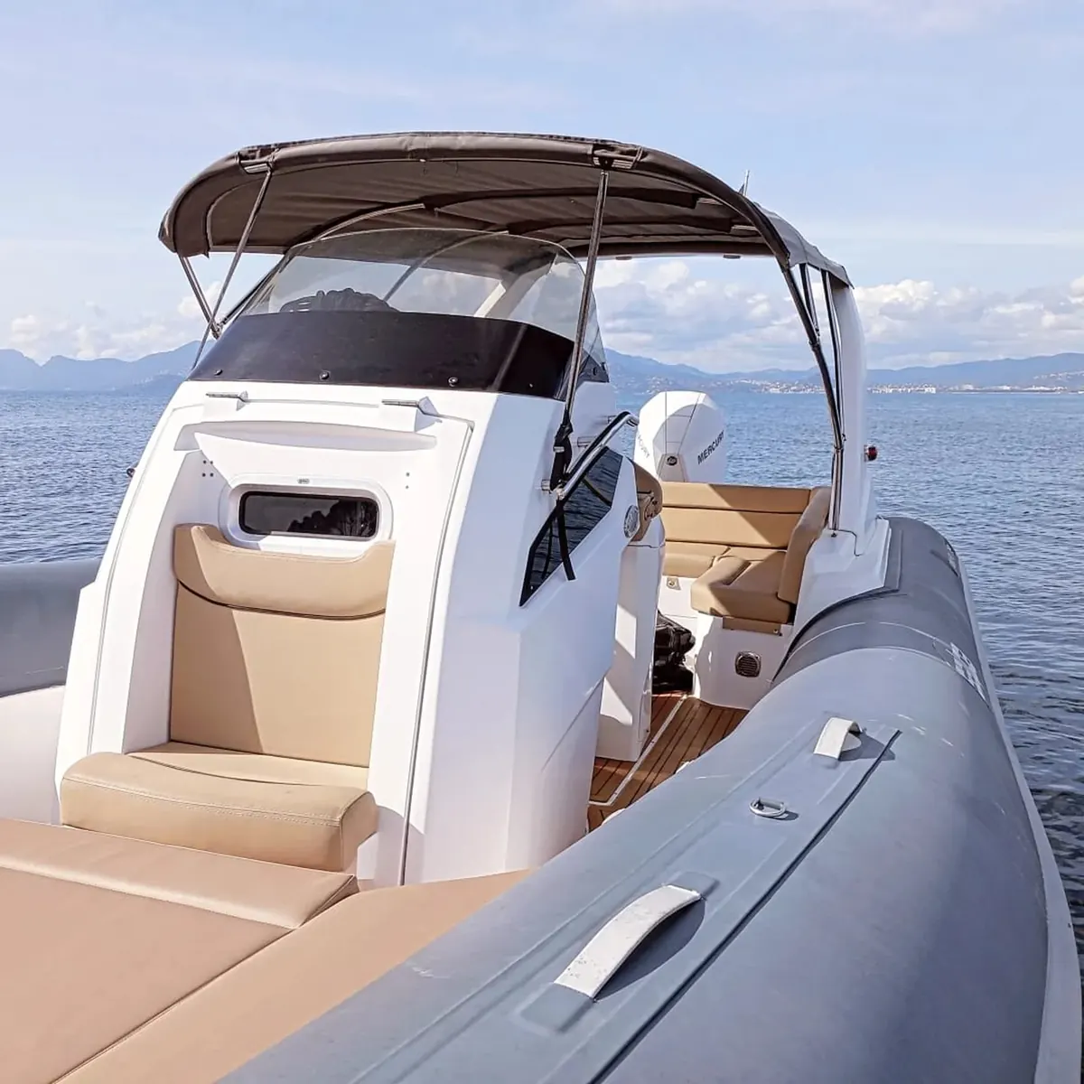 SALPA  28  Soleil