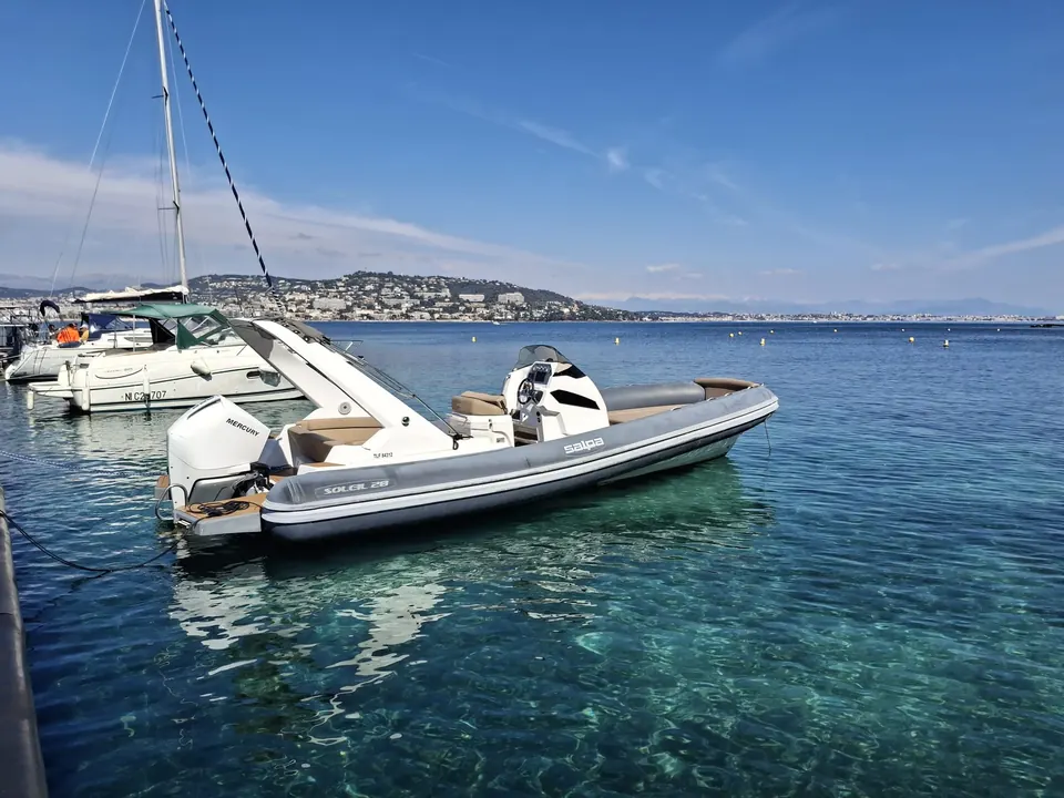 SALPA  28  Soleil