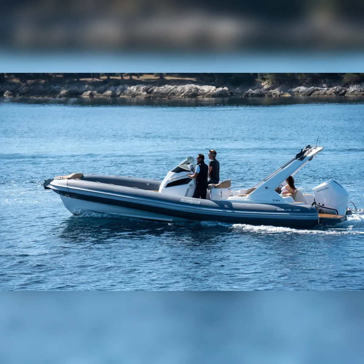 SALPA  28  Soleil