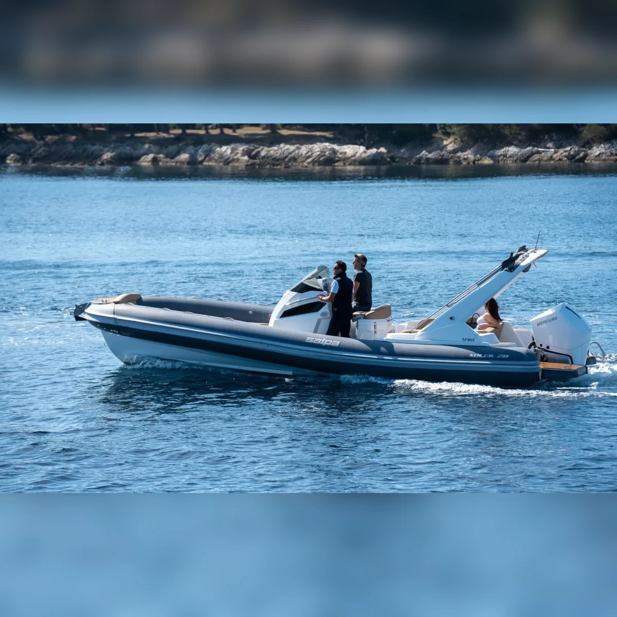 SALPA  28  Soleil