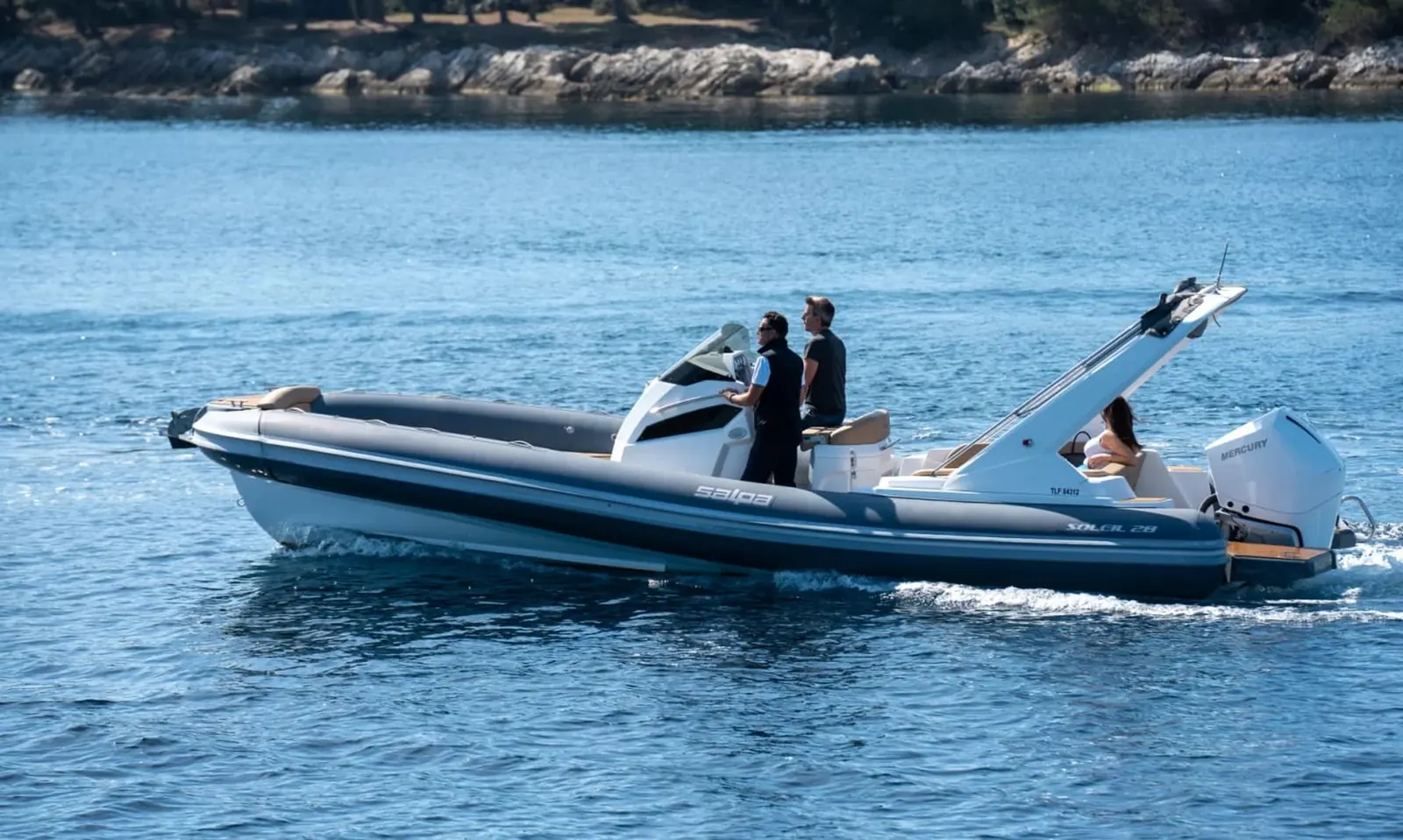SALPA  28  Soleil