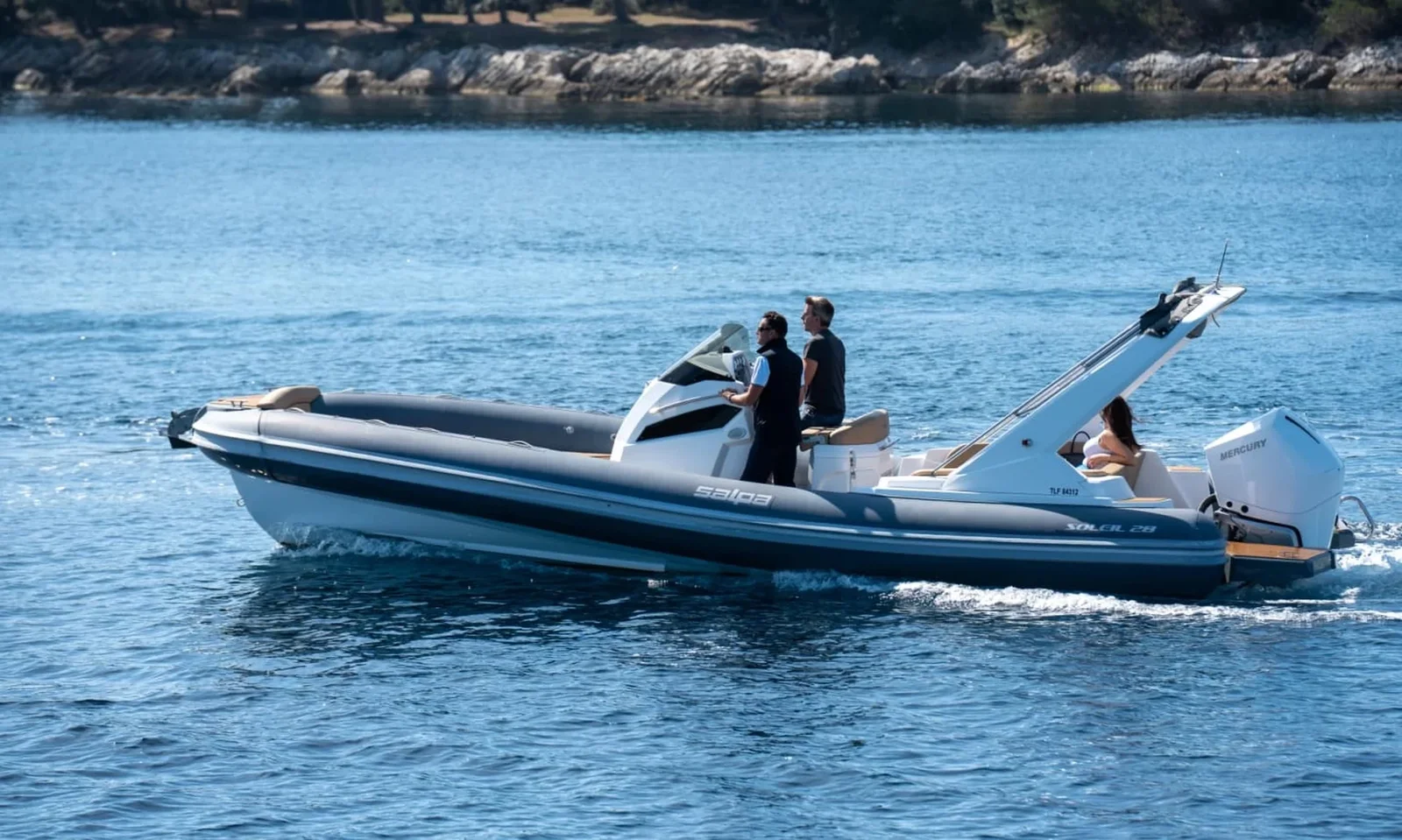 SALPA  28  Soleil