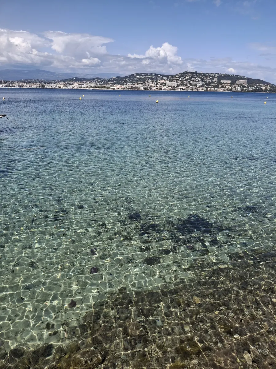 Billionaires' Bay